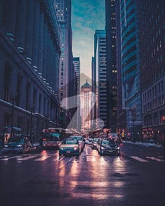 پائن