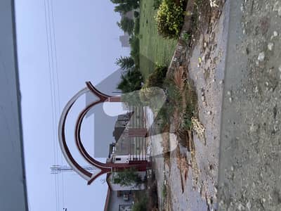 Plot