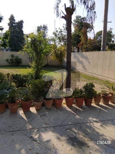 گارڈن