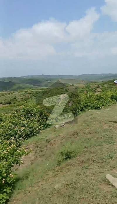 40 Kanal Commercial Land For Sale On Tourist Road, Kallar Syedan
