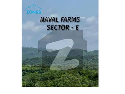 Sector