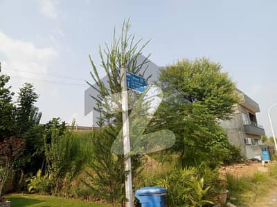 Gulbarg Green Residentcia F Block 7 Marla Laval Plot