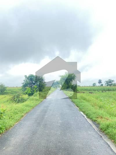 برکی