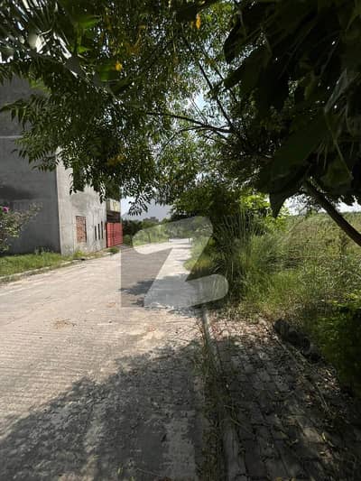 زمر