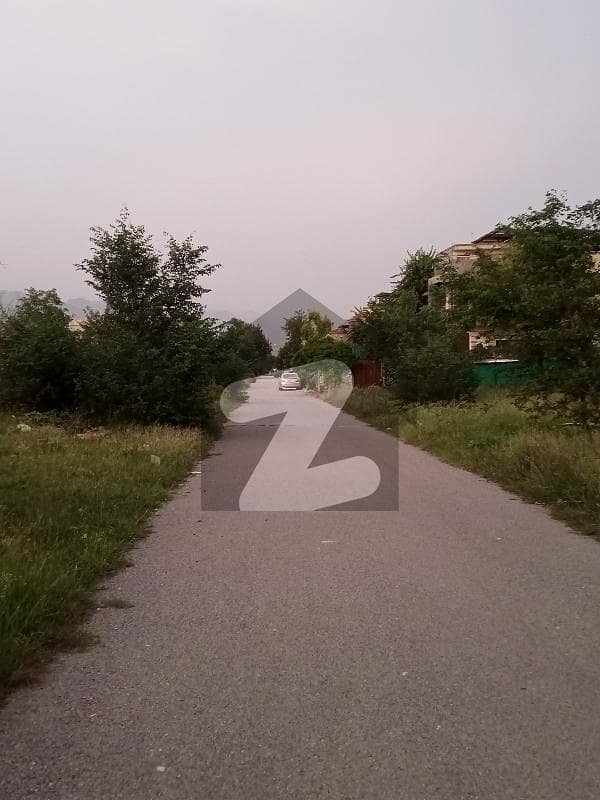Plot For Sale On Investor Price