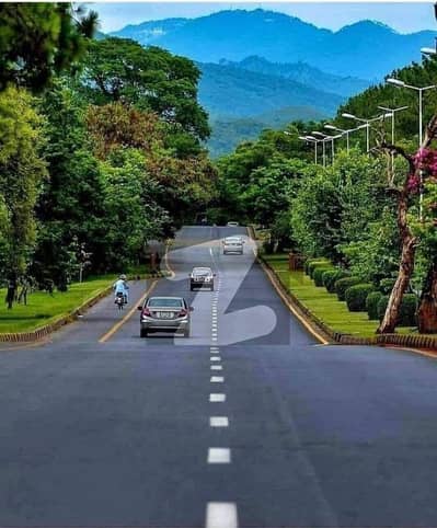 Corner