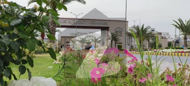 ڈی