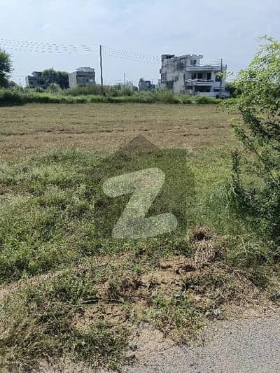 آئی