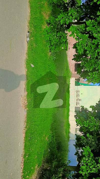 ڈی
