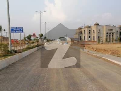 سینیٹ