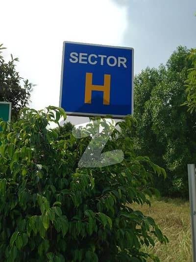 ڈی