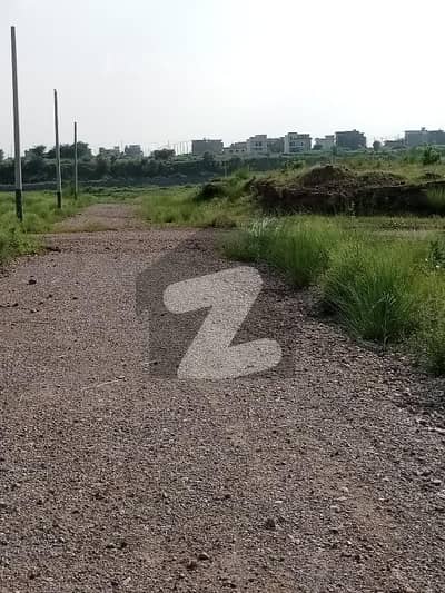 جی