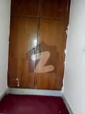 24 