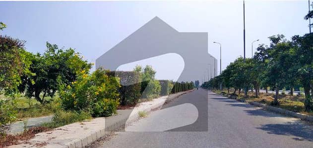سوئی