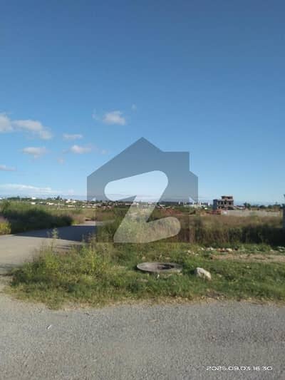 جی