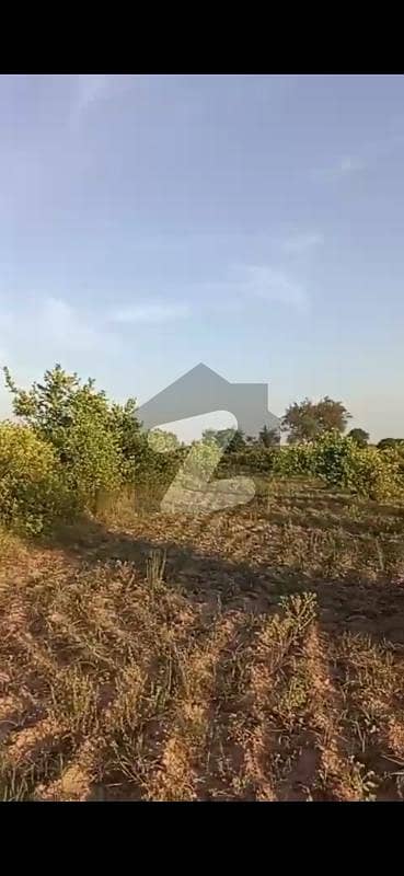 63 kanal Agricultural Land for sale in Neela Dullah