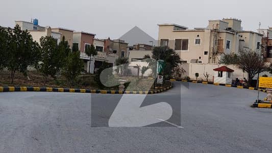 ڈی