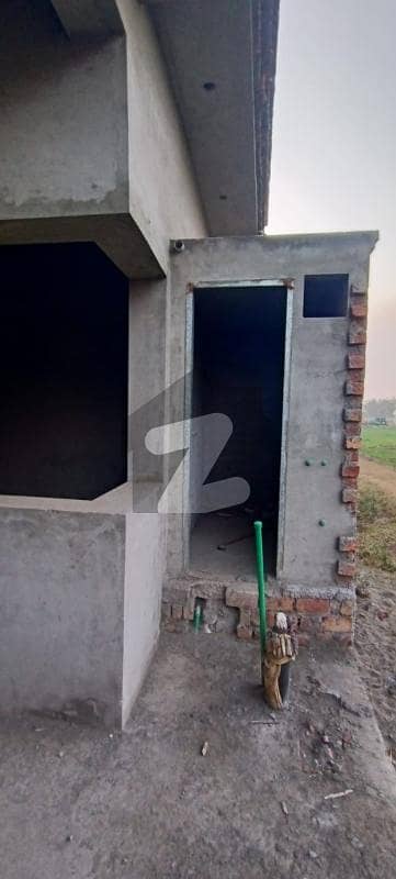 شاہ