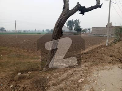 35 Kanal Agricultural Land at a very prime location of Main Lahore Road, Sargodha