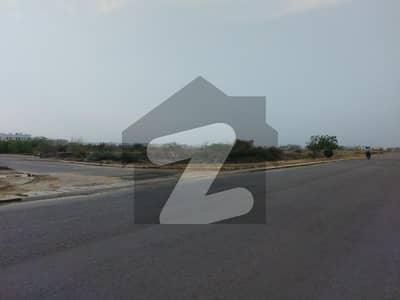 ڈی