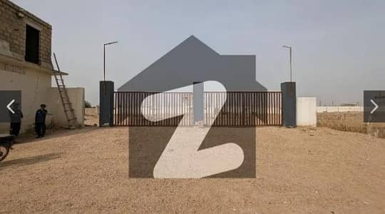 فریدی