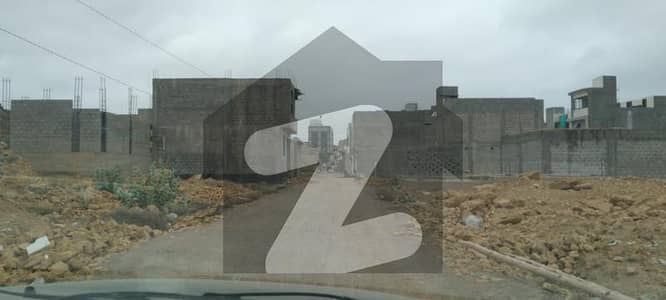 نارتھ