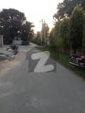 20 