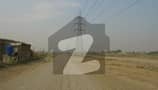 24 