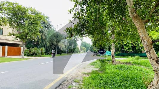 ڈی