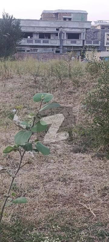 G16 plot 1 canal urgent sale number 386