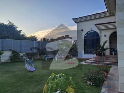 ڈی