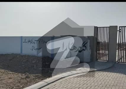 گندھارا