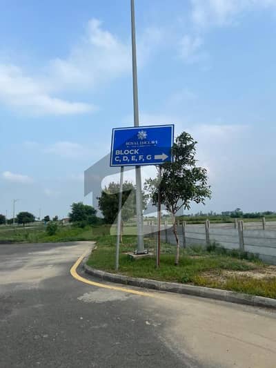 نیو