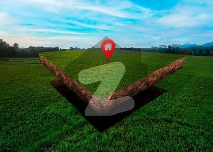 Prime 5 Marla Plot IN FAISAL HILLS