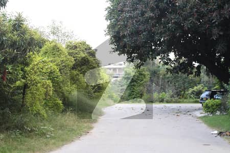F-10 Islamabad | 40x120 Old House | Investment Opportunity | Renovate & Live | Dead-End Street | Park Facing
