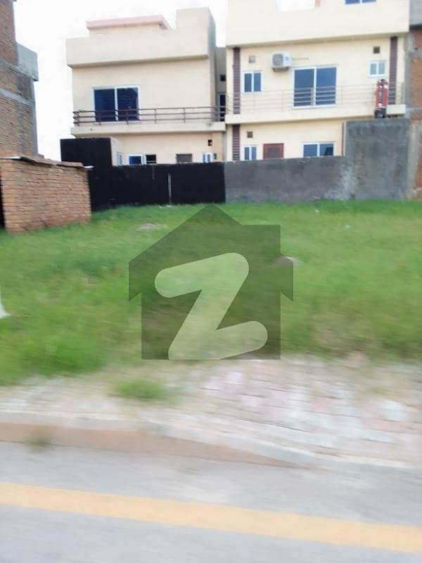 29 