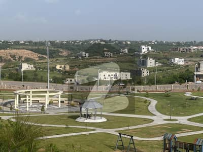 ڈی