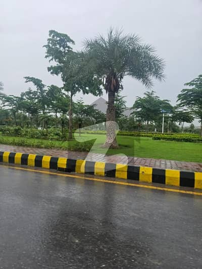 گلبرگ