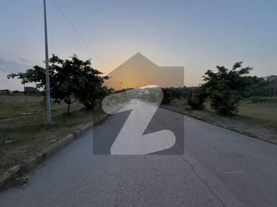 ڈی