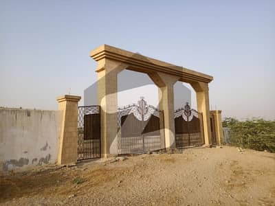 سیکٹر