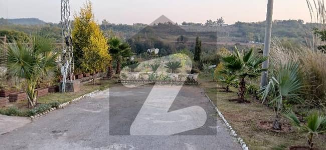 نیول