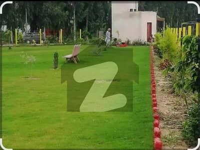 2000 Square Feet Residential Plot In Stunning Wapda Town Is Available For sale