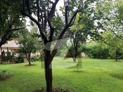FOR SALE 40x80 Residential Corner Plot CDA Transfer I_8/2