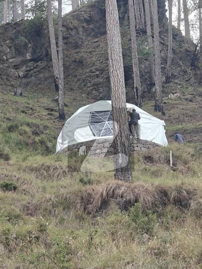 Excellent Plot For Living Investment