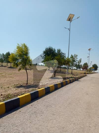 ڈی