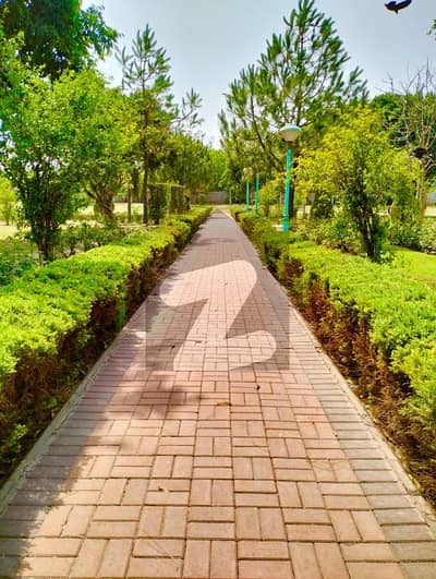 بحریہ