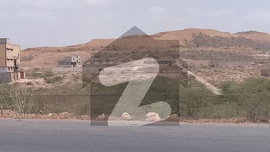 250