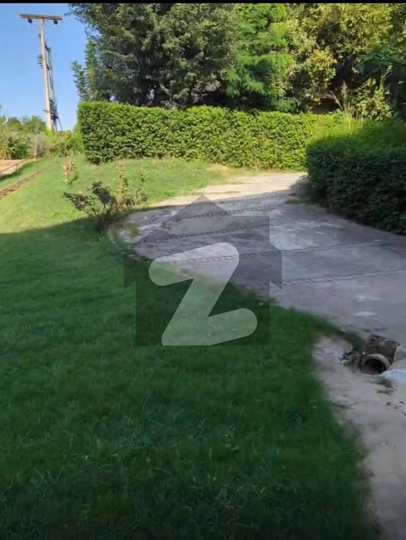 20 