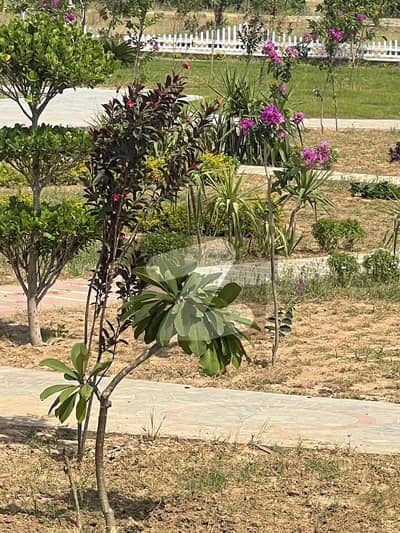 1 Kanal Corner Park-Facing Plot for Sale Sector B3, Phase 6, Islamabad Fully Developed Demand 2.4 Crore