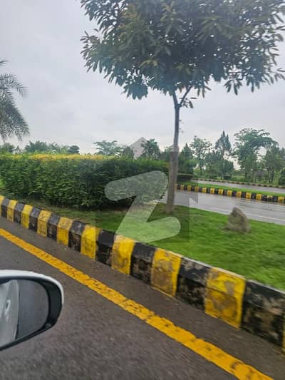 Gulberg